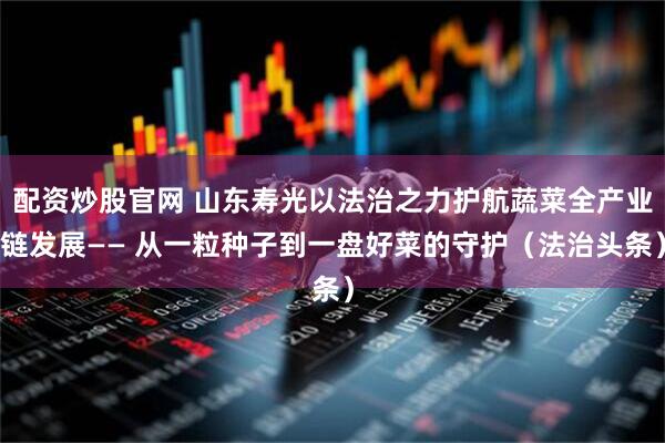 配资炒股官网 山东寿光以法治之力护航蔬菜全产业链发展—— 从一粒种子到一盘好菜的守护（法治头条）